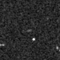 2023rpf_image