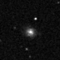2023rqg_image