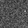 2023rrg_image