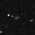 2023rsb_image
