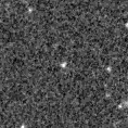 2023rtp_image