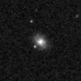 2023ruo_image