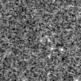 2023rv_image