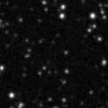 2023rvf_image