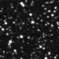 2023rvg_image
