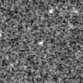 2023rwk_image