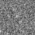 2023ryb_image