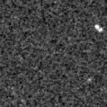 2023rzb_image