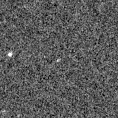 2023rzc_image