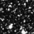 2023sek_image
