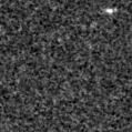 2023shu_image