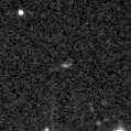 2023sib_image