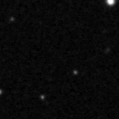 2023slf_image