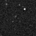 2023spp_image