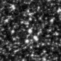 2023swj_image