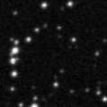 2023syj_image