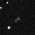 2023syw_image