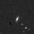 2023sz_image