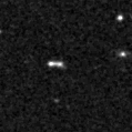 2023tan_image