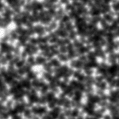 2023tdm_image