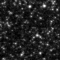 2023tds_image