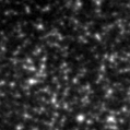 2023tdt_image