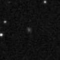 2023tfd_image