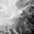 2023tfp_image