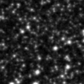 2023thf_image