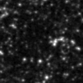 2023tht_image