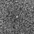 2023tko_image