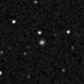 2023tnr_image