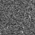 2023tpa_image