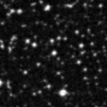 2023tpd_image