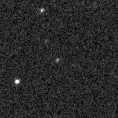 2023tqx_image