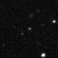 2023trt_image