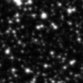 2023tvg_image