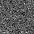 2023tx_image