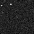 2023tzt_image