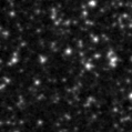 2023uyn_image