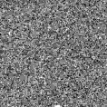 2023vel_image