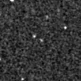 2023vev_image