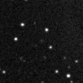 2023vfz_image