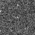 2023vga_image