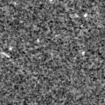 2023vmg_image