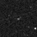 2023vmq_image