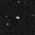 2023vnj_image