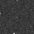 2023vnl_image