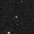 2023vnp_image