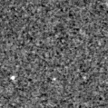 2023vnx_image